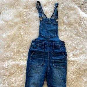Madewell Skinny Denim Overalls